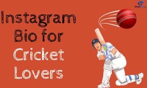 Cricket bat and ball on a green field for cricket lover quotes for Instagram